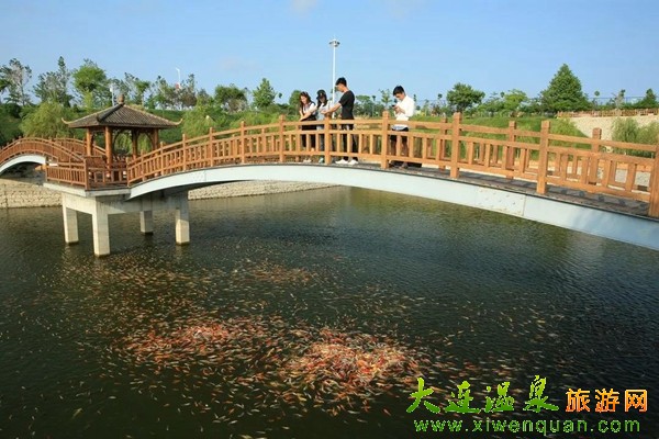龍德李生態(tài)園采摘游